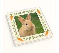 Acrylic Coaster Gift with Personalized Rabbit Photo Frame - Carrot Frame Bliss Garden Party Pet Lover Decor