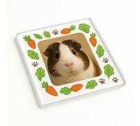 Acrylic Coaster Gift with Whimsy Pet Frame Design - Custom Guinea Pig Photo Decor for Pet Lovers' Homes