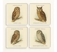 Acrylic Coaster Set of 4 with Whimsical Owl Illustrations - Fun Pun Coasters Vintage Naturalist Art for Bird Enthusiasts & Home Decor