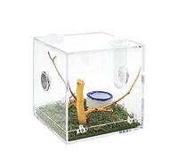 Acrylic Critter Keeper Jumping Spider Enclosure Snail Container House Accessories Reptile Terrarium Insect Enclosure Tank Snail Spider Habitat Cage Reptile Isopods Lizards Roach Feeding Box