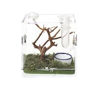 Acrylic Critter Keeper - Reptile Feeding Box for Small Insects, Spiders, Lizards & Roaches