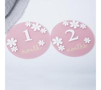 Acrylic Daisy Baby Milestone Cards, 3D Baby Milestone Signs, 1-12 Months Interchangeable Monthly Milestone Sign, Baby Announcement Sign, Baby Photo Prop
