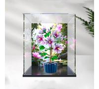 Acrylic Display Box for le-go 10372 Hibiscus Bouquet - Printed Floral Showcase with Alloy Frame, Transparent Dust Cover Case 30x20x40cm, Gift Display (A)