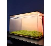 Acrylic Display Box,Stackable Acrylic Display Case for Figures & Specimens - Modern Storage Box (4x4, 6x6, 8x8, 10x10 Inches) & Extra Long (60x30x30cm) Showcase, Dustproof Organizer