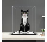 Acrylic display cabinet , Self-Assembly Memorabilia Acrylic Display Storage Case, Cube Organizer Stand Riser for Action Figures/Models(60cm(24")x60cm(24")x50cm(20"))