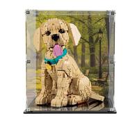 Acrylic Display Case compatible with LEGO® Icons Golden Retriever Puppy Model 11384 (Printed Back Panel)