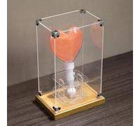 Acrylic Display Case Concert Light Sticks Acrylic Display Case, Wooden Base Clear Lid Storage Display Box, Countertop Dustproof Protection 4"-16" Tall Organizer(30x30x20cm(12"x12"x8"))
