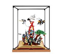 Acrylic Display case for Compatible with Lego 21355 Ideas Series Knowledge Set,Dustproof, Storage Box,Transparent Case ,Compatible with 21355(Display Box only, kit not Included) (Wood Alloy)