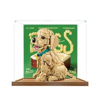 Acrylic Display Case for Lego 11384 Golden Retriever Puppy Model, 3mm Dustproof Display Box, Display Case Compatible with Lego 11384(Model Not Included) (Background Wood Base B)