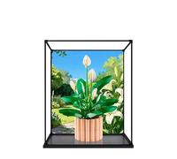 Acrylic Display Case for Lego 11504 Peace Lily Model, 3mm Dustproof Display Box, Display Case Compatible with Lego 11504 (Model Not Included) (Background Alloy Frame B)