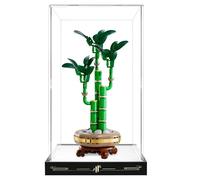 Acrylic Display Case for Lego Botanicals Lucky Bamboo Building Set 10344, Dust Cover Box for Collectibles Storage Box with Door Dustproof Prevention - Model Not Included