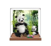 Acrylic Display Case Specially made for Lego 31165 Wildlife: The Panda Family Building Set, Dustproof Box - Only Display Case, Display Box Compatible with Lego 31165 (Back Spray + Base B)