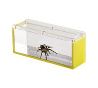 Acrylic Fish Observation Box, Transparent Viewing Case, Portable Aquatic Pet Tool with Lid, Lightweight Protective Build, Home Improvement, Indoor Outdoor Aquarium Display
