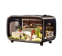 Acrylic Fish Tank with Climbing Frame, Transparent Fish Tank with Lid, Small Tank for Desk, Living Room Decoration, Turtle Tank 40 x 22.7 x 25.5 cm