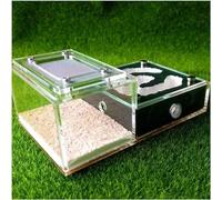Acrylic Flat Glass Plaster Ant Farm Workshop Ant House Box Ecological Pet Ant Hill Ant Nest Birthday Gift(White-1)