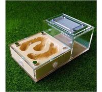 Acrylic Flat Glass Plaster Ant Farm Workshop Ant House Box Ecological Pet Ant Hill Ant Nest Birthday Gift(Yellow-2)