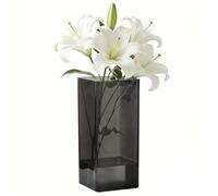 Acrylic Flower Vase - 25x10x10 cm Black Cube Flowers Vases Square Unbreakable Plastic Vase Lightweight & Easy Clean Small Ecosystem Bottle for Home Decor/Table/Counter Centerpiece