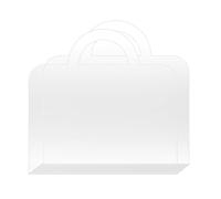 Acrylic Handheld Flower Box Wrapping Bags With Handles Reusable Tote Bags For Bachelorette Bridesmaid Wedding Wrapping