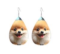 Acrylic Hoop Earrings for Women Dangle Earring Gold Fashion Boho Drop Dangle Earrings Cute Little Pomeranian Hypoallergenic Silver Teardrop Earring Jewelry Gift Valentine's Day, One Size, No Gemstone