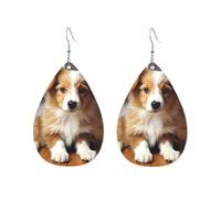 Acrylic Hoop Earrings for Women Dangle Earring Gold Fashion Boho Drop Dangle Earrings Cute Puppy Dog Hypoallergenic Silver Teardrop Earring Jewelry Gift Valentine's Day, One Size, No Gemstone