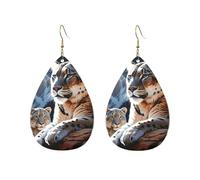 Acrylic Hoop Earrings for Women Dangle Earring Gold Fashion Boho Drop Dangle Earrings Mountain Lions Hypoallergenic Silver Teardrop Earring Jewelry Gift Valentine's Day, One Size, No Gemstone