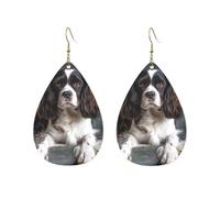 Acrylic Hoop Earrings for Women Dangle Earring Gold Fashion Boho Drop Dangle Earrings Spaniel On The Sofa Hypoallergenic Silver Teardrop Earring Jewelry Gift Valentine's Day, One Size, No Gemstone