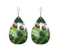Acrylic Hoop Earrings for Women Dangle Earring Gold Fashion Boho Drop Dangle Earrings Summer Ladybird Flowers Hypoallergenic Silver Teardrop Earring Jewelry Gift Valentine's Day, One Size, No Gemstone