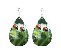 Acrylic Hoop Earrings for Women Dangle Earring Gold Fashion Boho Drop Dangle Earrings Summer Ladybird Flowers Hypoallergenic Silver Teardrop Earring Jewelry Gift Valentine's Day, One Size, No Gemstone
