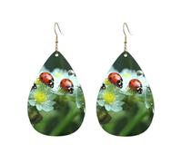 Acrylic Hoop Earrings for Women Dangle Earring Gold Fashion Boho Drop Dangle Earrings Summer Ladybird Flowers Hypoallergenic Silver Teardrop Earring Jewelry Gift Valentine's Day, One Size, No Gemstone
