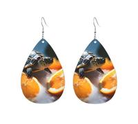 Acrylic Hoop Earrings for Women Dangle Earring Gold Fashion Boho Drop Dangle Earrings Turtles emerging from oranges Hypoallergenic Silver Teardrop Earring Jewelry Gift Valentine's Day, One Size, No