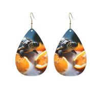 Acrylic Hoop Earrings for Women Dangle Earring Gold Fashion Boho Drop Dangle Earrings Turtles emerging from oranges Hypoallergenic Silver Teardrop Earring Jewelry Gift Valentine's Day, One Size, No