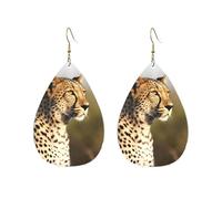 Acrylic Hoop Earrings for Women Dangle Earring Gold Fashion Boho Drop Dangle Earrings Wild Animal Leopard Hypoallergenic Silver Teardrop Earring Jewelry Gift Valentine's Day, One Size, No Gemstone
