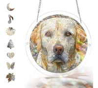 Acrylic Jigsaw Puzzle Suncatcher, DIY Sun Catcher Kits for Adults,83 Pieces Suncatchers Stained Glass Acrylic Puzzle Decoration for Home Decor,Acrylics Jigsaw Puzzles Gifts for Women Mom (12,Large)
