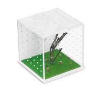 Acrylic Jumping Spider Enclosure, 2.95×2.95×2.87in Transparent Reptile Terrarium, Versatile Tarantula Enclosure for Small Reptiles/Insects, Small Reptile Tank with Dropper, Jumping Spider Accessories