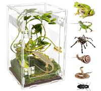 Acrylic Jumping Spider Habitat, Reptile Terrarium Easy Assembly, Bug Enclosure, Praying Mantis Habitat, Frog Enclosure, 9.8 * 5.9 * 5.9in