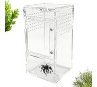 Acrylic Jumping Spiders Terrarium 15 x 7 x 7 cm - Ventilated Enclosure with Sliding Lid - Small Reptile Terrarium for Turtles Snakes Geckos Crab Frogs Plants Sand Stone