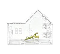 Acrylic Jumping Spiders Terrarium, Transparent Reptile Tank, Tarantula Terrarium, for Spiders, Frogs, Mantids, Scorpions in the Living Room, Office, on the Go
