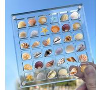 Acrylic Magnetic Seashell Display Box,Seashell Starfish Trinket Decorative Seashell Storage Box, Multifunctional Gemstone Diamond Display Organizer Case for Seashell Jewelry Gemstone Beads (36 Grids)