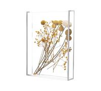 Acrylic Memory Box for Flowers and Keepsake Clear Display Long Lasting Made of Acrylic, Ideal for Storing Dried Flowers, Postcards, Admission Tickets