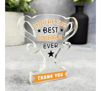 Acrylic Ornament Gift For The Best Colleague Ever Trophy Acrylic Plaque Ornament Present | Gift Birthday Present Keepsake Gift Custom Home Decor Gift, Small Trinket, Unique Present