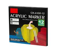 Acrylic Paint Marker Set with Tips for Artists and on Various Including Glass Canvas Wood Ceramic and Rocks (Black, 20x20x17cm)