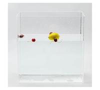 Acrylic Photography Tray, Shallow Water Tank for Fish Display, HD Transparent Shoot Props