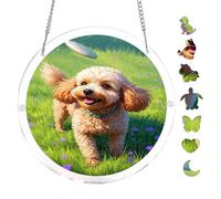 Acrylic Puzzle Suncatcher, Adorable Close-Up Portrait Of Young Kitten Face, 7.8inch