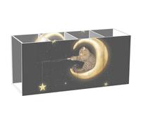Acrylic Rectangle Pen Holder, Pen Organizer Desk Flatware Organizer Makeup Brush Cup for Office Home 7.87x3.54x2.48 in Print Cat Sits on God Crescent Moon Stars On Black