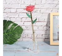 Acrylic Rose Display Stand, Heart Shaped Rose Stand for Single Real Roses or 24k Artificial Flower Base Rose Shelf Support for Home Room Decoration