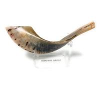 Acrylic Shofar Stand - Chanukah Shofar Stand - Clear & Transparent Shofar Stand Hanukkah Jewish Judaica