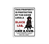 Acrylic Sign This Property Is Protected By The Good Lord A Black Lab Dog Unique Novelty Caution Outdoor Warning Notice 6"X 8" In Sign Self-Adhesive Acrylic Sign For Door Or Wall Name Plate