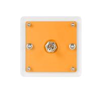 Acrylic Single Or Double Control Toggles Switches Panel Plate Push Button Vintage Covers for Home Office Decors Wall Panel