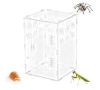 Acrylic Spider Habitat Cage - Transparent Case Box, Ventilated Pet Cave Furnishing, Exotic Small Animal Display Tank System, Care Unit | Safe Observation Solution for Spring