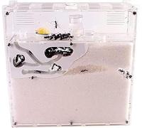 Acrylic Stereoscopic Observation Nest Ant Castle Acrylic Ant Farm House Large Capacity Ventilated Studio Ant Zoo Home Life Educational Toys Gift Ant Habitat Colony Behaviour Study